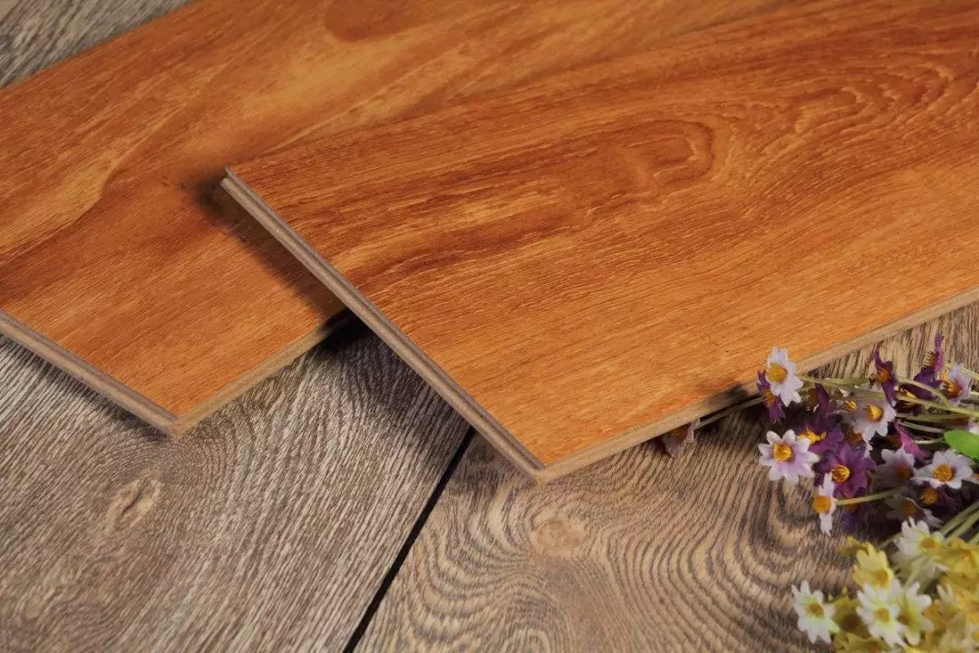 640.webp (8).jpg 640.webp (8).jpg