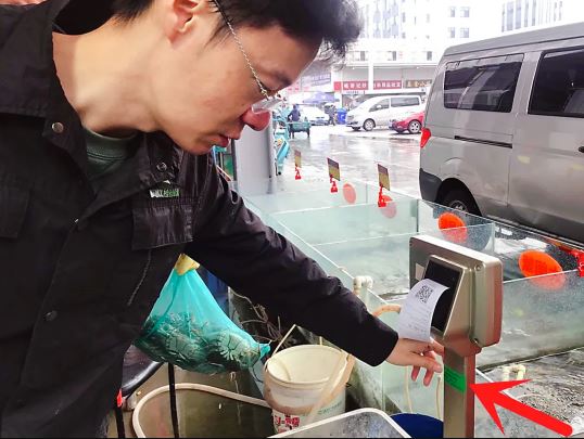 中凯.JPG 中凯.JPG